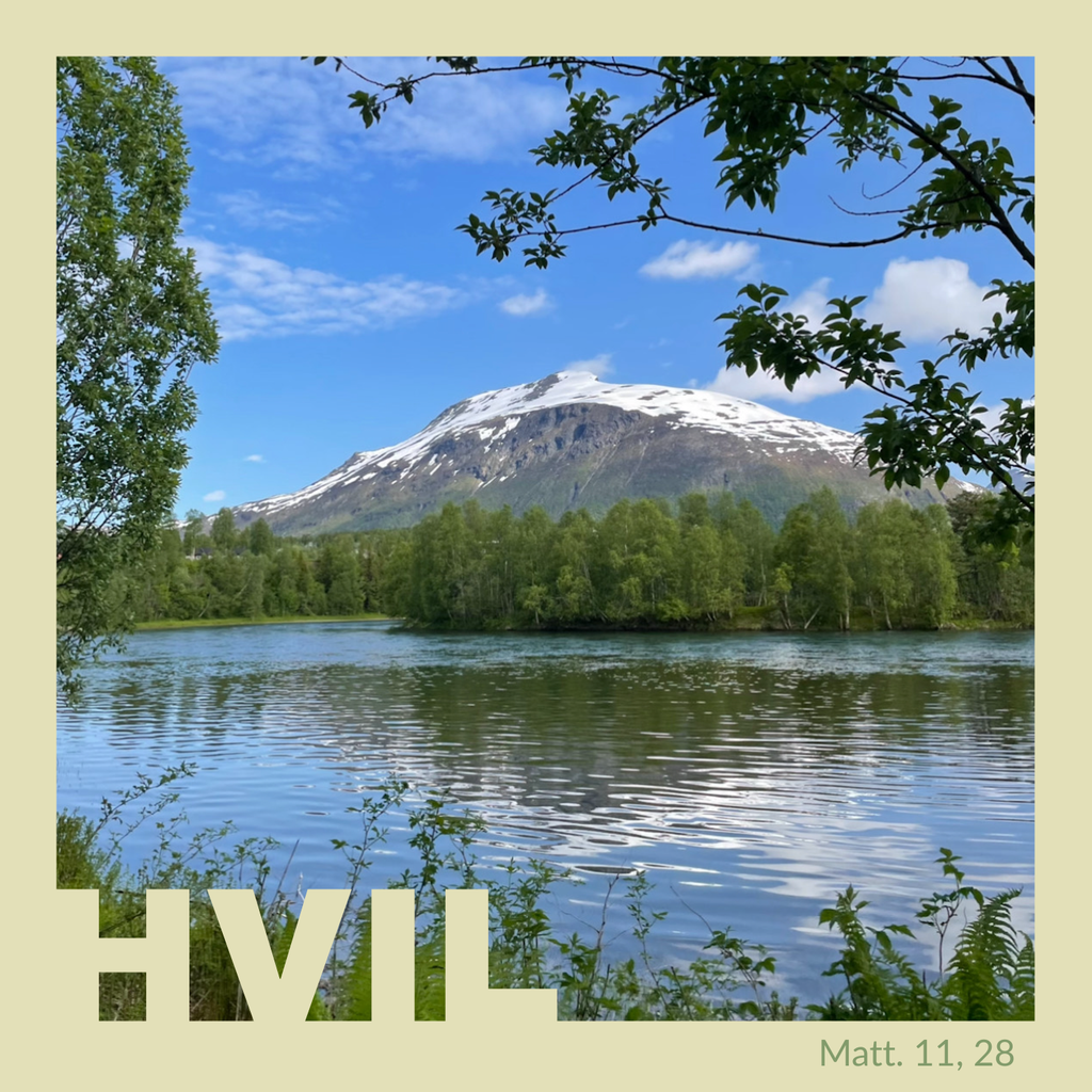 Soldatkortene "Kommando & stillhet" - en postkortsamling med retning