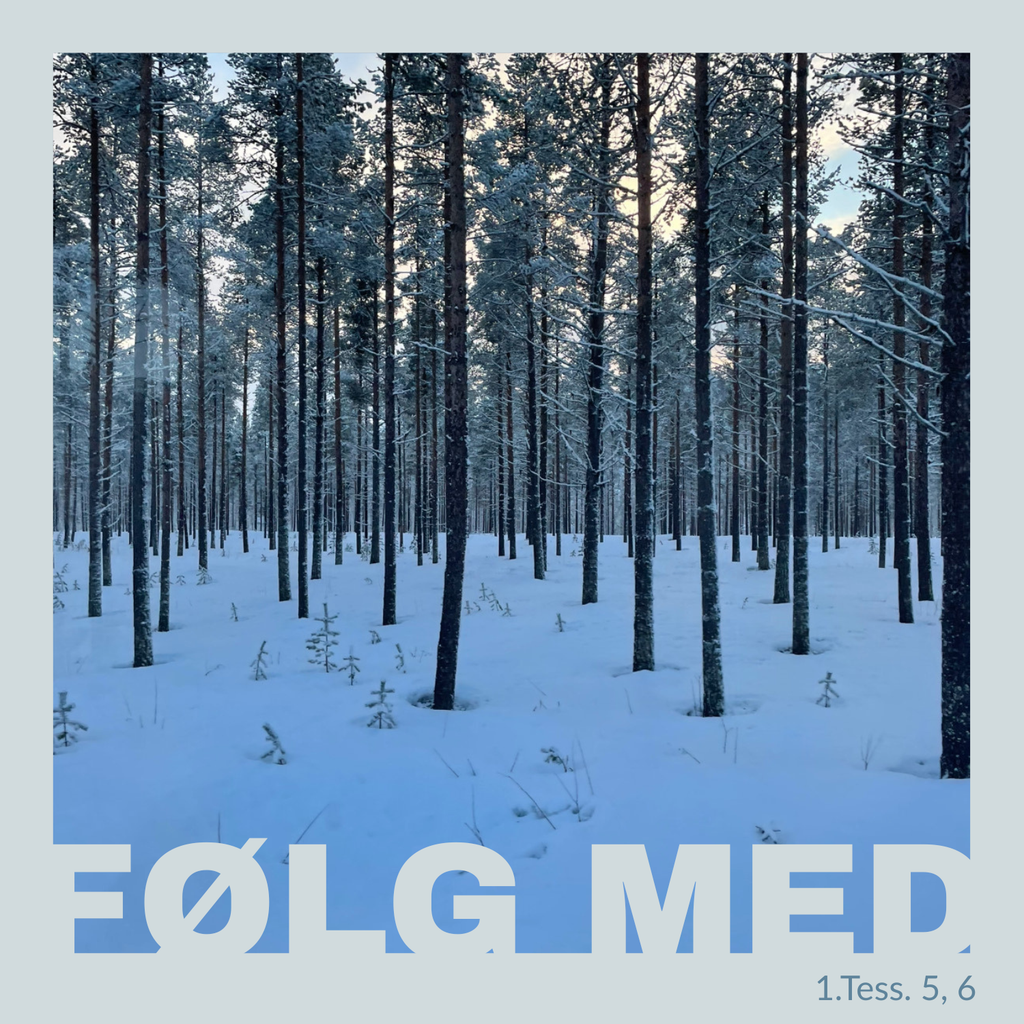 Soldatkortene "Kommando & stillhet" - en postkortsamling med retning